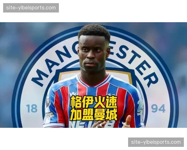 格伊欧冠经验成曼城后防补充 三中卫体系轮换选择更加丰富